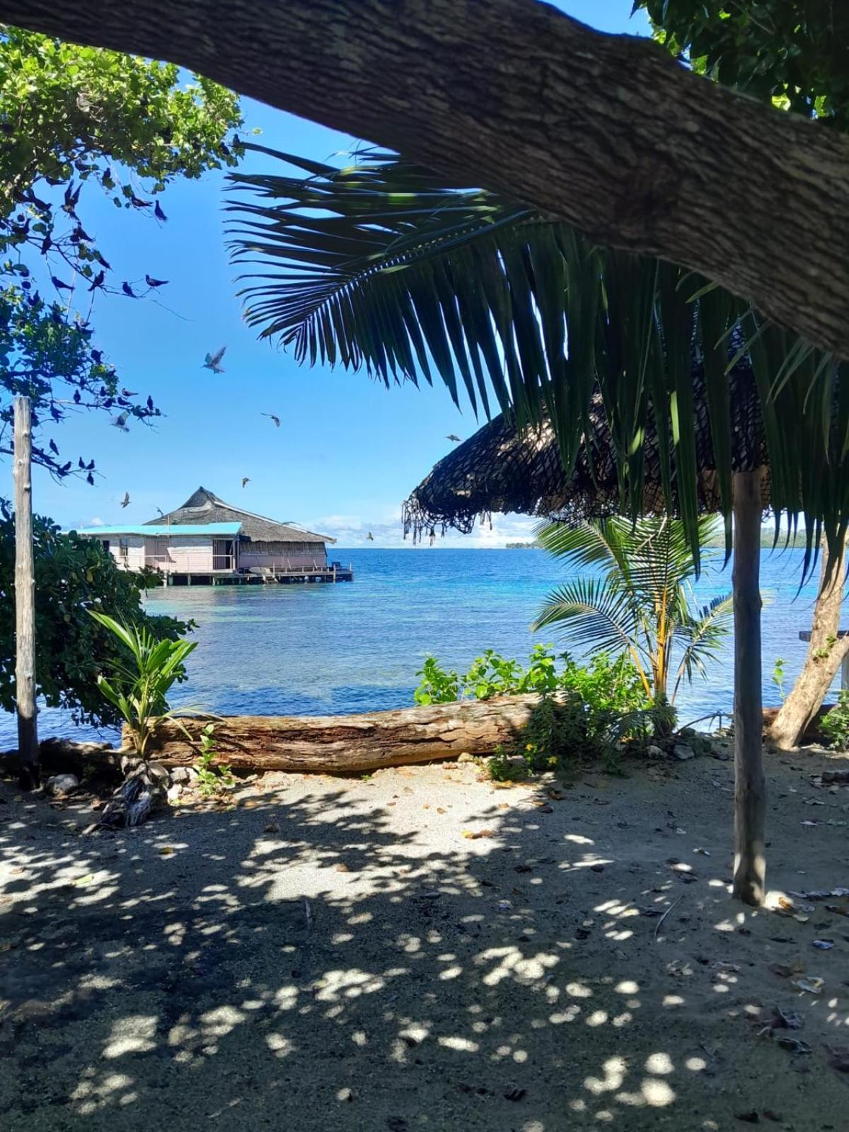 Imagination Island Eco Resort Gizo Ngoại thất bức ảnh